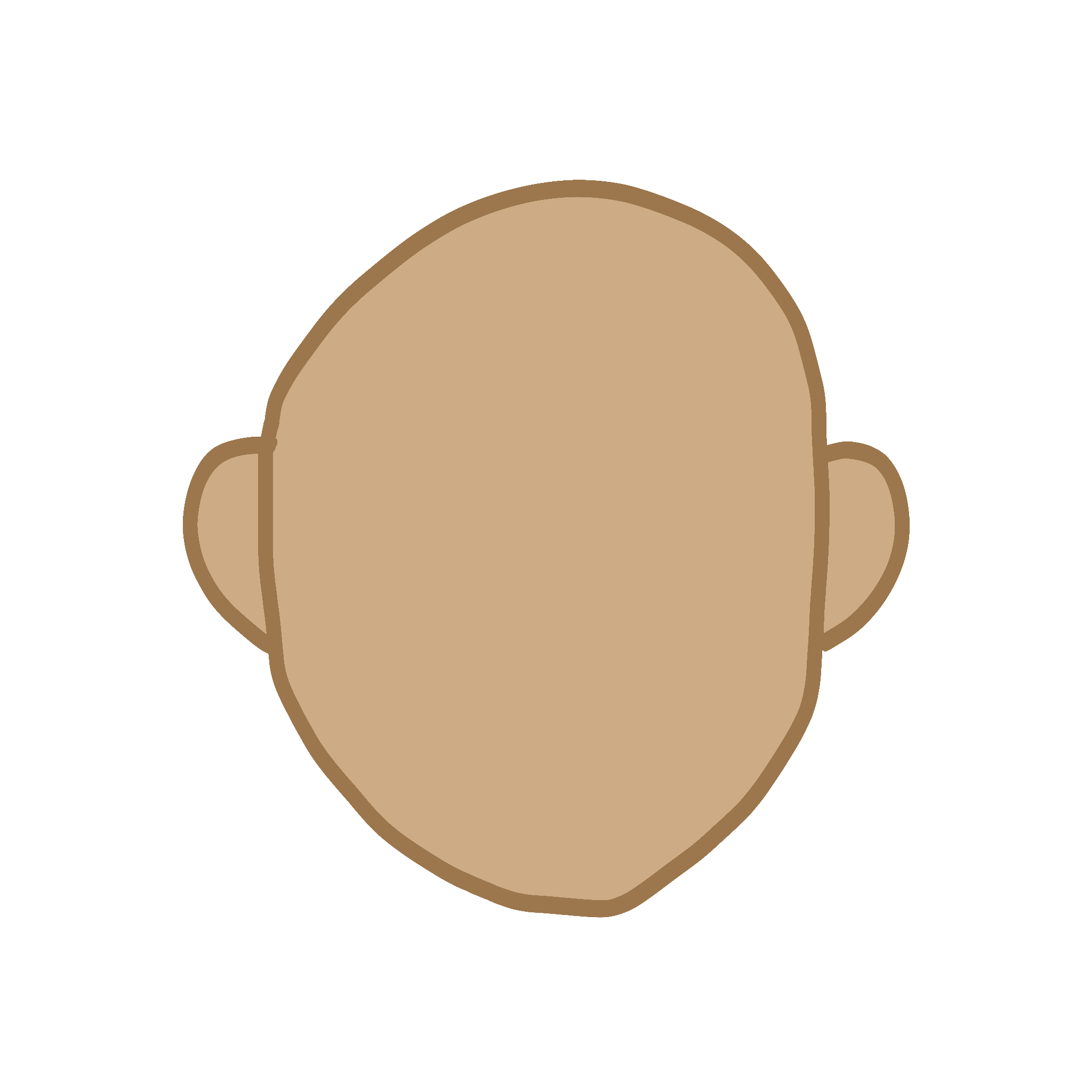 a human head with no facial features